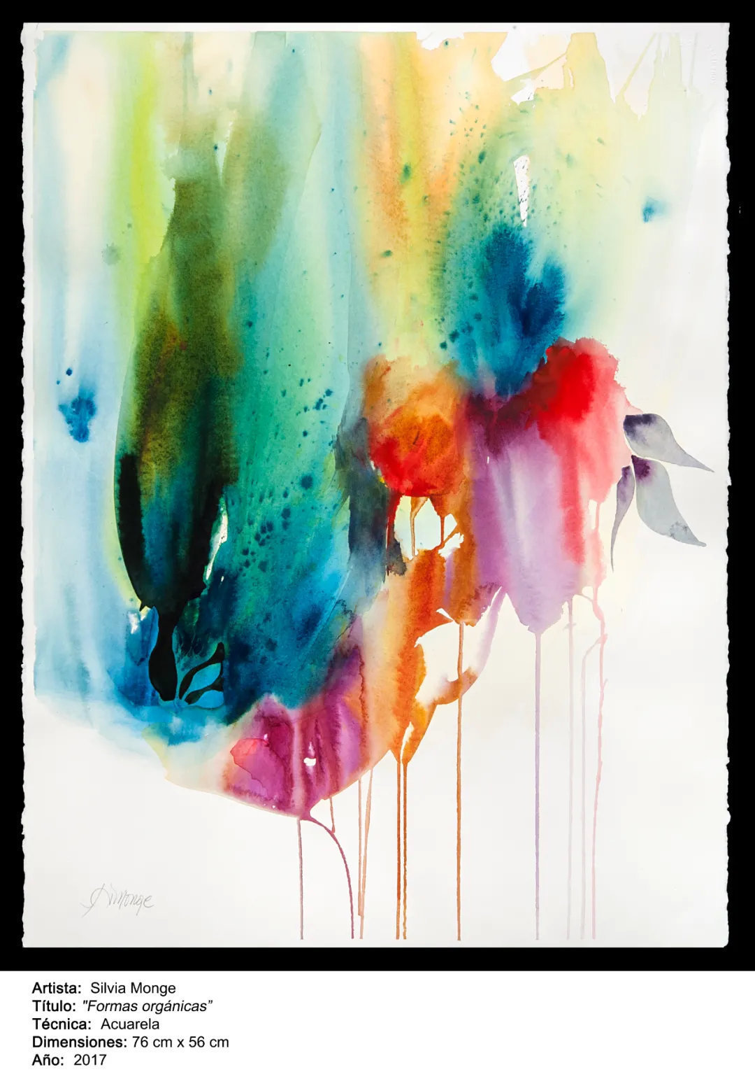 Monge|「第七届水彩节特邀嘉宾」Silvia Monge艺术作品展