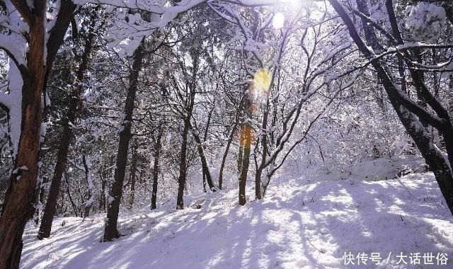 词人|这首金代诗词千古有名，大雪纷飞思念亲人，道尽人生悲欢