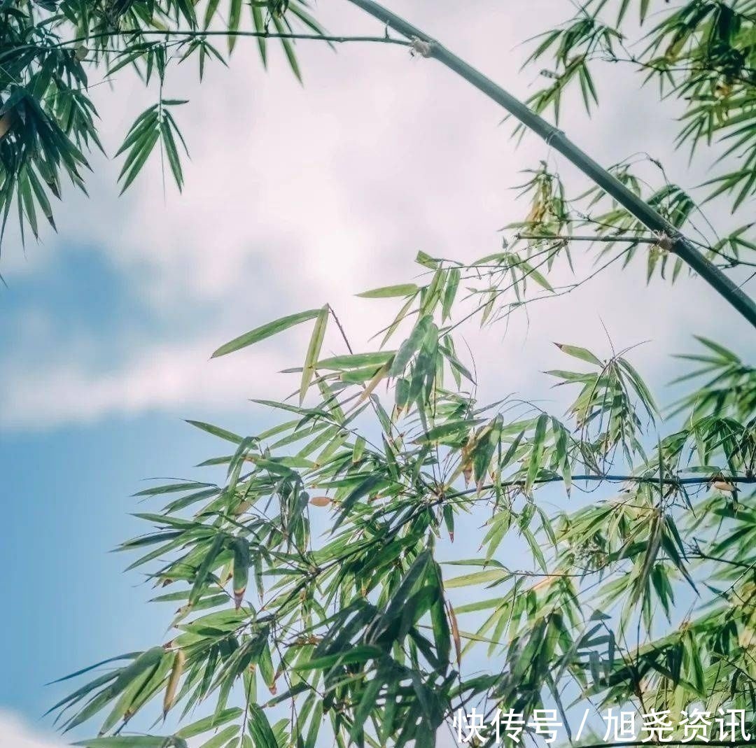 西江月$五首意境极美的冷门古诗词,看一眼再难忘记