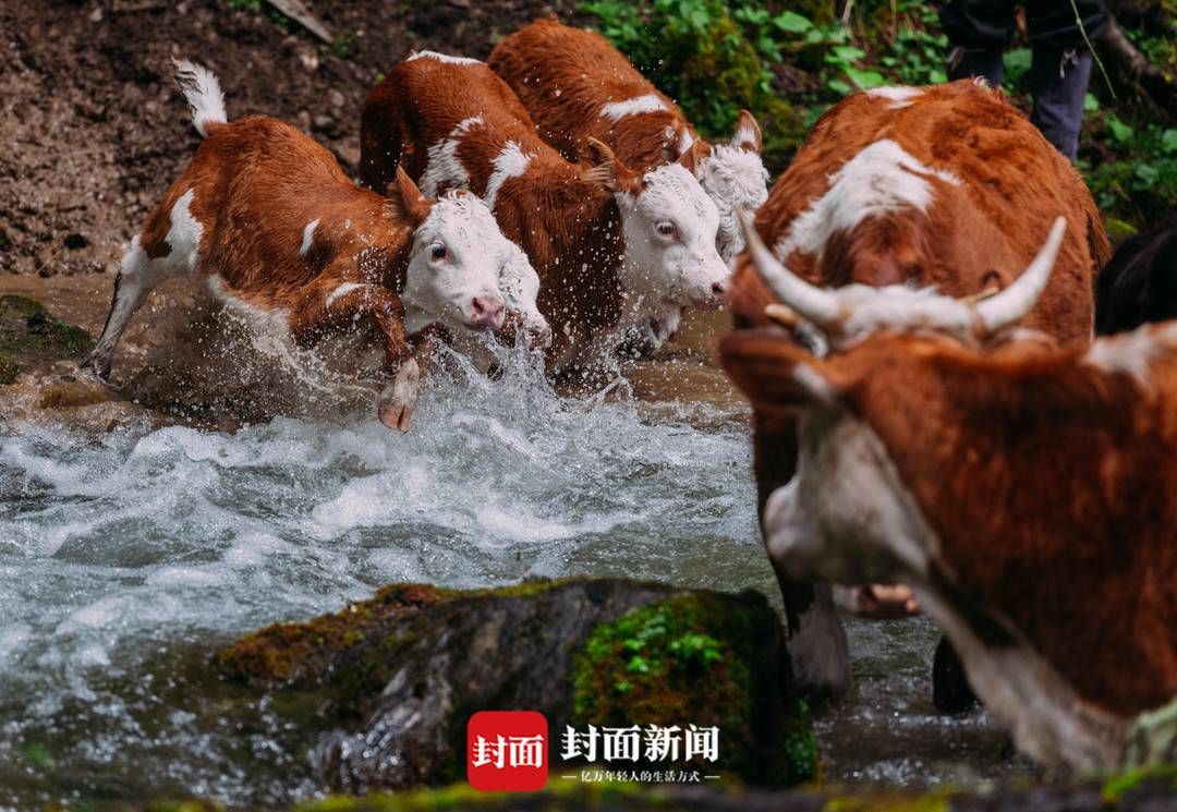 硗碛乡|硗碛藏乡23年 一名记者的定格与留白