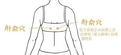 肝俞穴|养肝护肝很简单,常按穴位可保肝疏肝解郁不得病