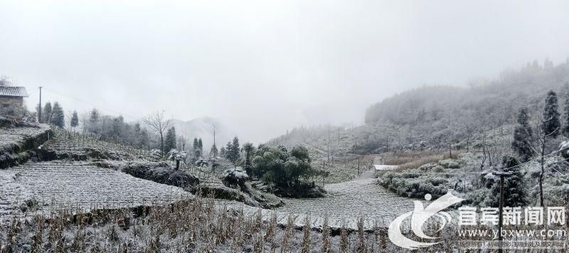 不胜|银装素裹美不胜哉 兴文苗乡迎来今冬首场大雪