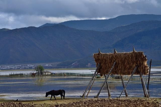 香格里拉|适合一个人去的18个地方，2020年欠自己的旅行，就这样安排吧