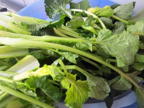 自由基|会吃的人,多吃以下食物,延缓衰老,美容养颜,好处多多!