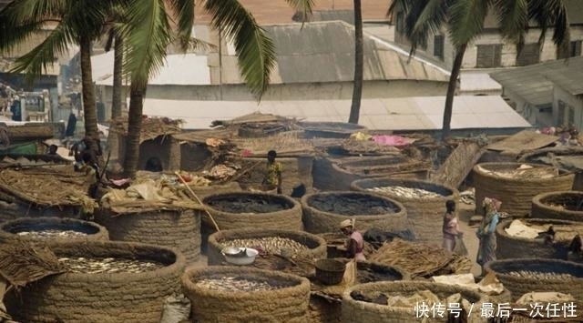 我国|我国曾免除此国670亿债务, 如今它回报一无价之宝, 让国人暖心