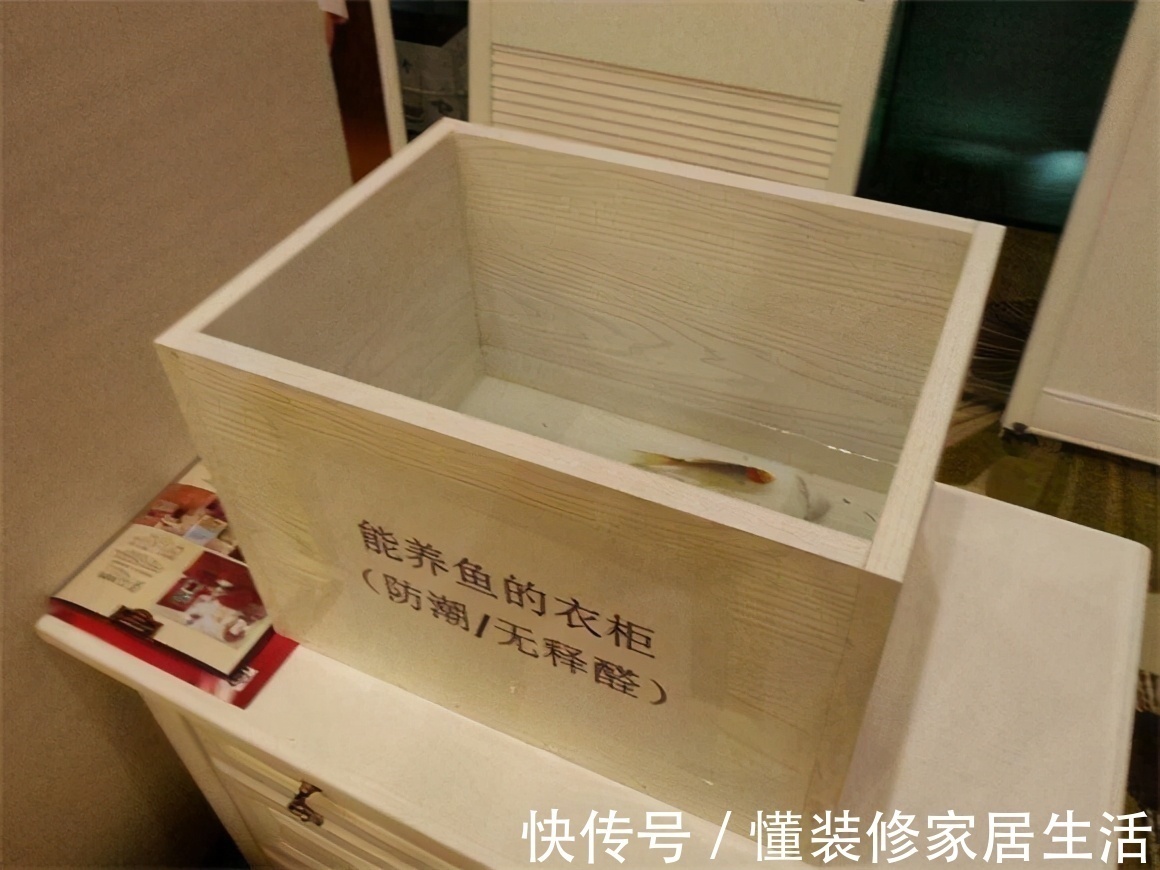 吊顶|不听装修的“鬼话”,坚持做最接地气的决定,现在住着很幸福