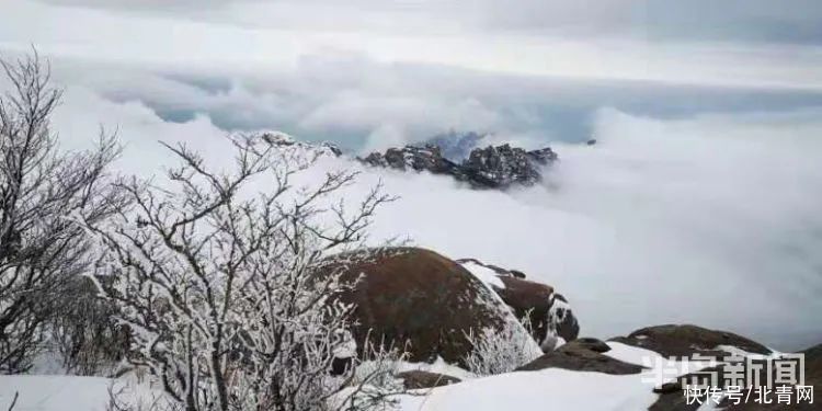 肖枫|你那里是下雨还是下雪？今天，同在青岛，却仿佛不在一个季节...