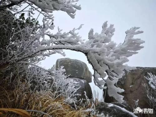 皑皑南正顶，雾凇更撩人！期待下次的大雪!