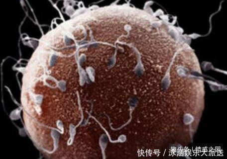 孩子|女人一生能生几个孩子?医生的答案,告诉你!