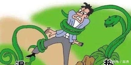 湿热体质你了解多少?