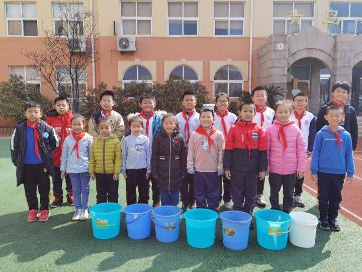 青岛永宁路小学：创新形式开展植树活动，把绿色种在春天