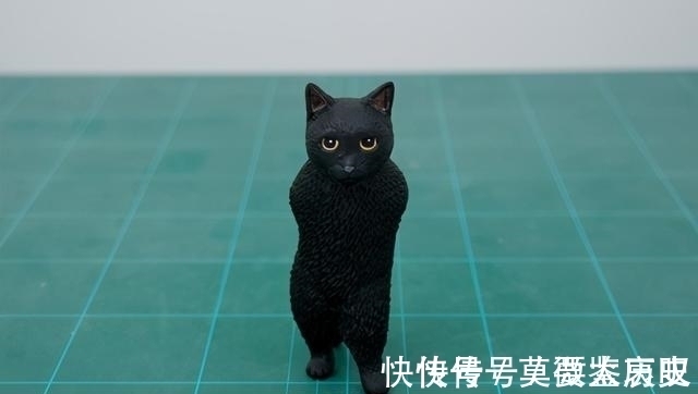 小猫|全球的猫都想屏蔽这个日本人,他到底做了多少沙雕手办?