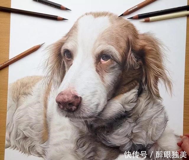 她仅凭1支彩铅就把小狗画活了,还一举俘获近100万粉丝!