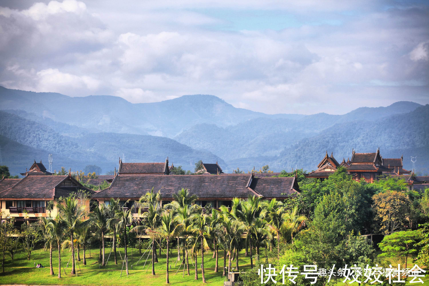 板根|中国“最神奇”植物王国！树木还会开屏有棵小草能跳舞！