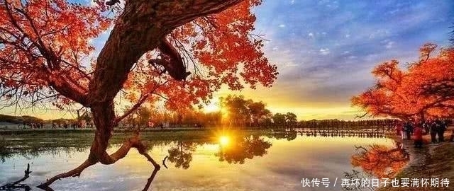 满秋窗|江城子·碎影满秋窗