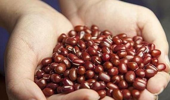 燕麦|公认减肉最“狠”的主食，米饭不在列，排在第一的或许你就爱吃