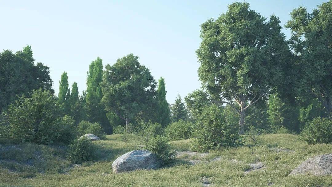 神器-C4D森林岩石植物树木花草生长动画插件3DQUAKERS Forester v1.4.9 R23