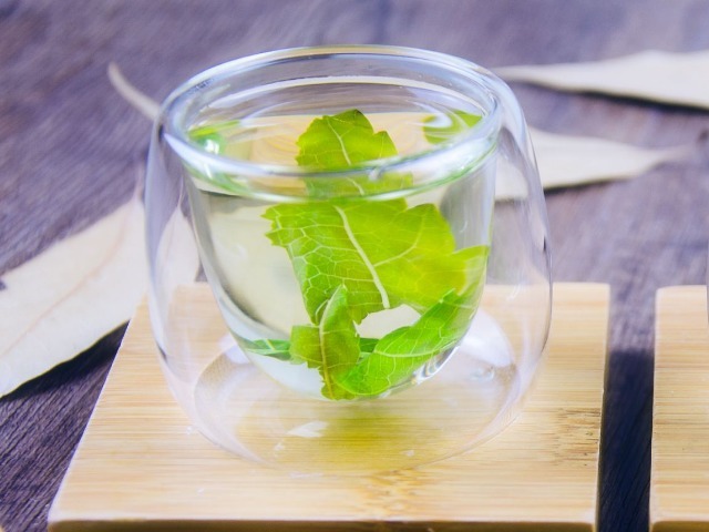 玻璃杯|中医建议农村常见的3种叶子,见了收好,止咳用它,百试百灵