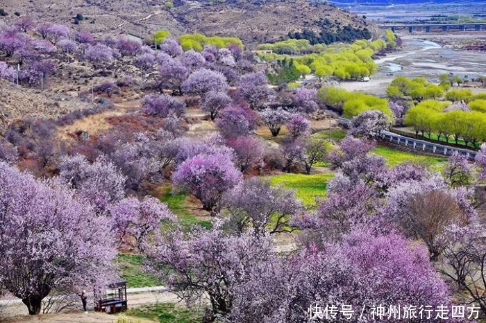 西藏什么时候旅游最好，怎么找自由行口碑好的当地向导，最佳旅游线路自由行，看攻略