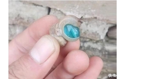 女子在砖缝里,撬出一个“弹珠”,经鉴定后高兴的跳了起来