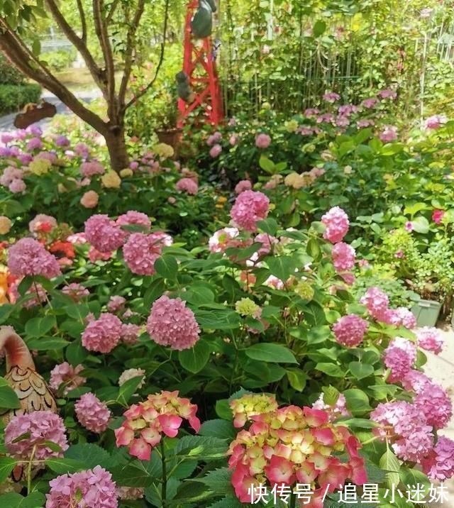 有了30平方的小院,能将日子过成了诗简单而精致,优雅而从容