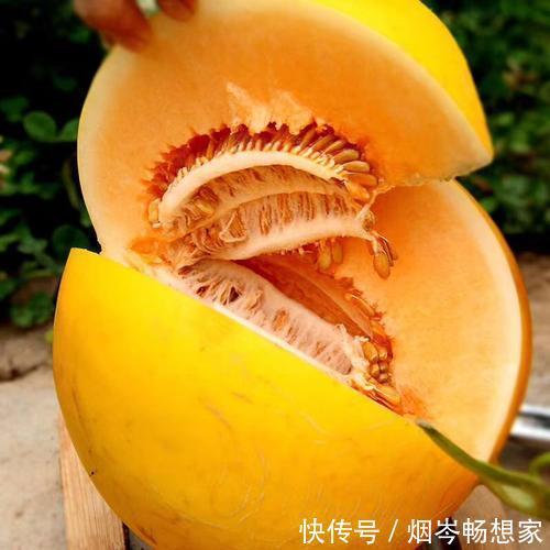 大黄杏|年过50想长寿就要会吃,尤其是这几种“软黄金”,营养高还好吸收