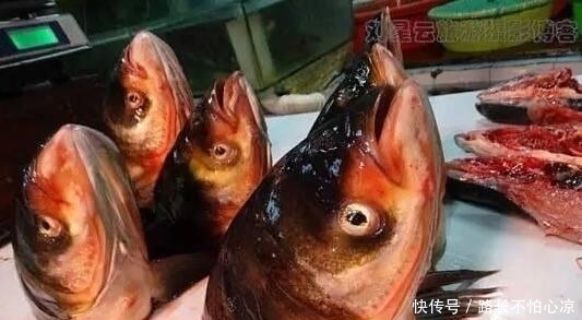 在缅甸集市上卖的东西千奇百怪,胆子小的人不要乱逛!