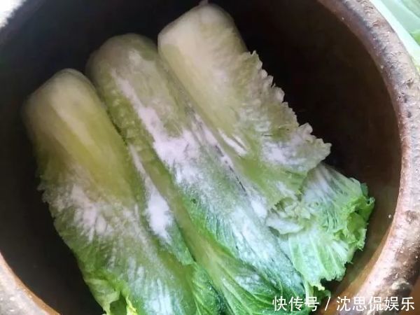  腌制酸菜|腌酸菜只放盐是大错特错的，多加这3步，酸爽美味，放一年都不坏