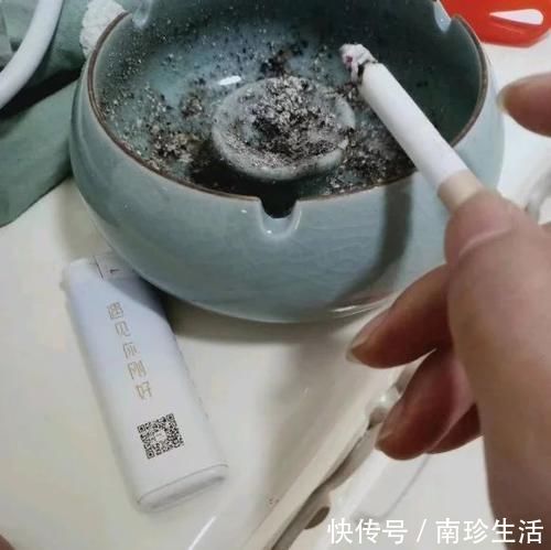 陈芝麻|5种粉末效果惊人，老花匠都爱用，撒盆里不黄叶，狂开花！