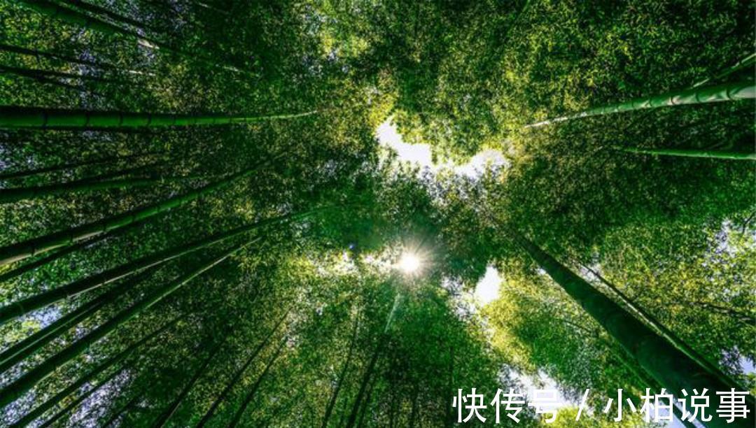 王维#王维的境界无人能及,晚年写下的这首五绝,一字一句超凡脱俗!