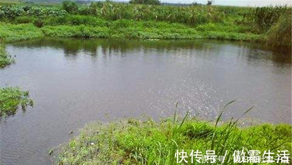 打窝聚鱼不能慢人一步,这样打窝发窝快速,上鱼快人一步!