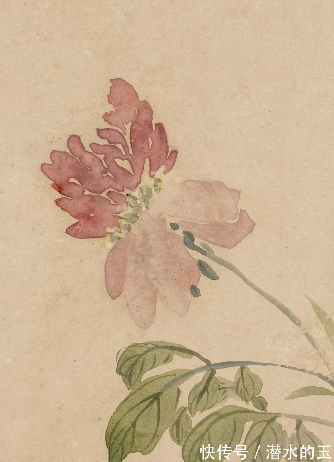 花卉图$汪士慎:一生心事为花忙丨私享艺术