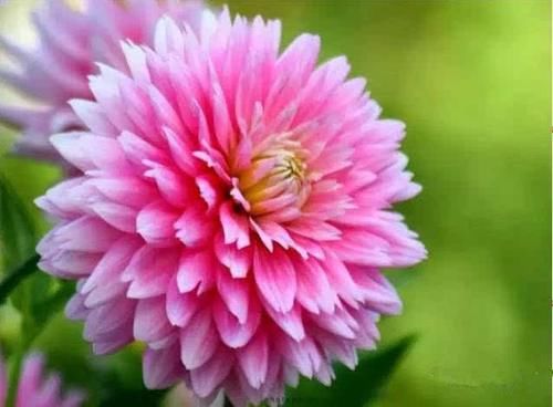 金牌|88岁老中医归纳的养生“金牌药”，应对日常各种症状，果断收藏