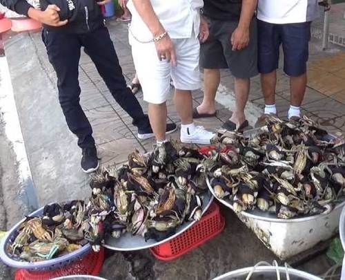  这个小摊子旁停满了车，我好奇走近看看，忍不住买了10斤！