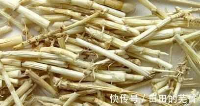 湿气|夏季药膳木棉白茅根炖猪骨！