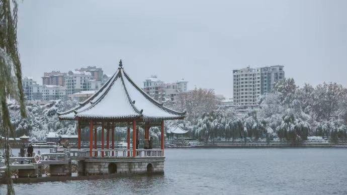 荷花|这座齐鲁古城已美了上千年，四季绚烂皆美景！没来过就太遗憾了