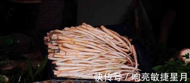 淤泥|淤泥中一种野菜,长得像藕带,离水后很快就老!