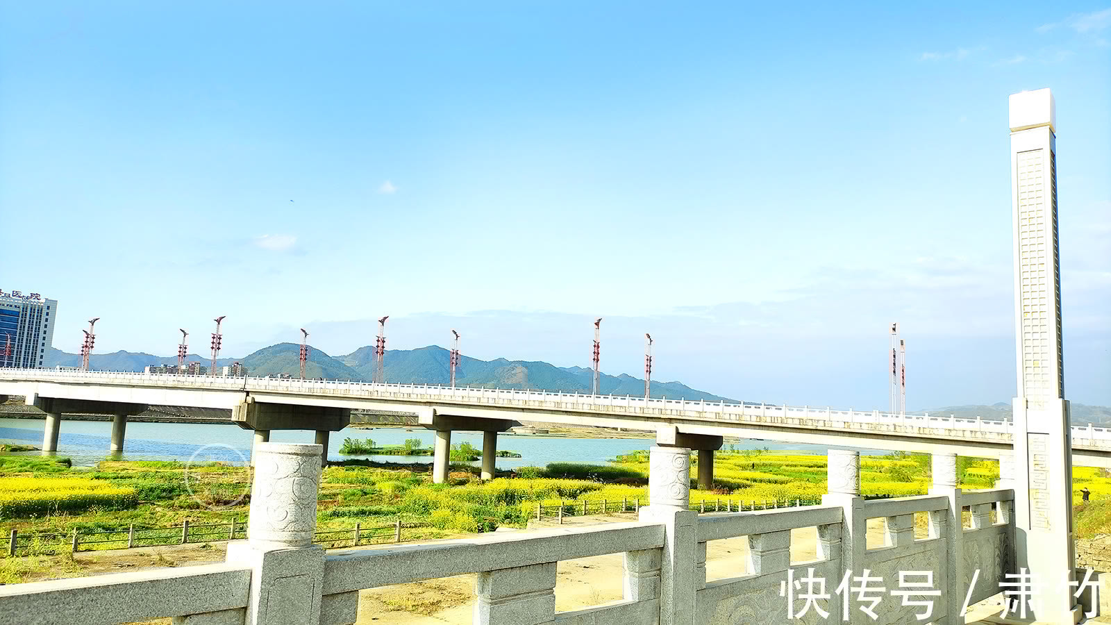 肃竹#梦想如同鲜花,掩盖在伤痕之上