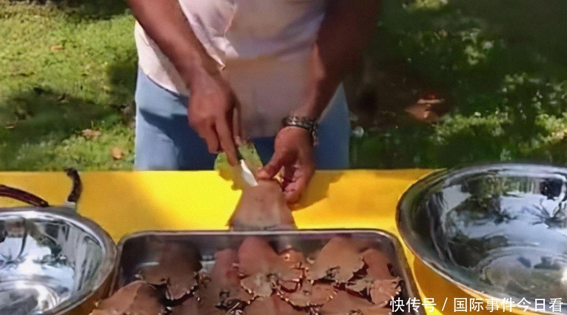 想要|印度“拖鞋虾”泛滥成灾,想要出口到我国,我国吃货:不敢恭维