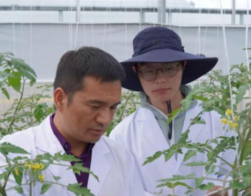 拼多多|被打上“烧钱”标签的拼多多赚钱了，将大改行事作风转战农产品！