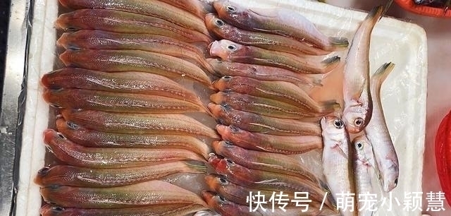 营养极高的“5种鱼”,由于个小被嫌弃,内行人却常吃
