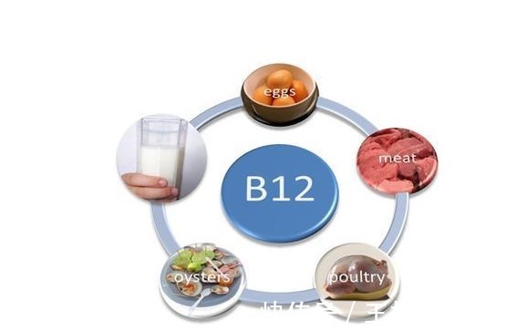 吃素|网红博主吃了5年素食,出现重度贫血,为何会这样?揭开素食真相