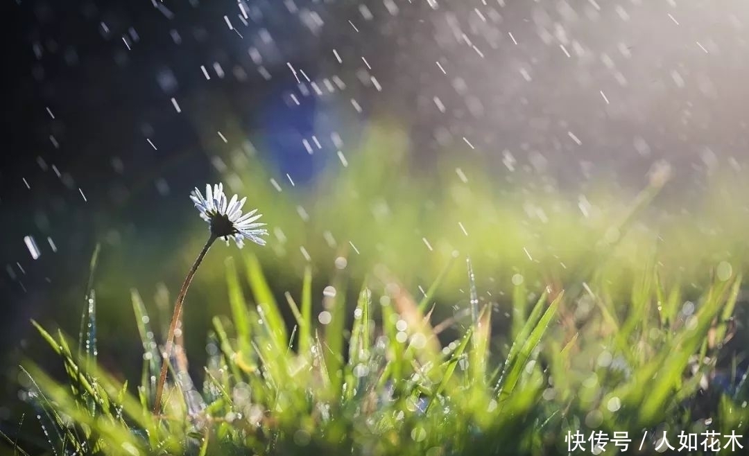 万物|立春丨听一曲古琴演奏《春风》万物知春,和风淡荡