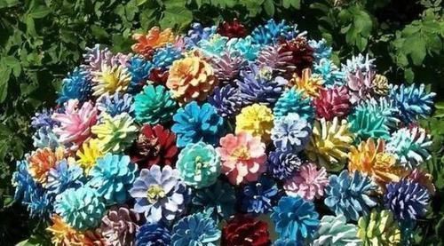 种植|多捡些松果带回家,一处理埋土里,轻松长成精致的绿植盆景