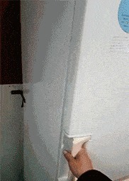 |搞笑GIF:说起来你可能不相信,我向一只鸡求婚了!