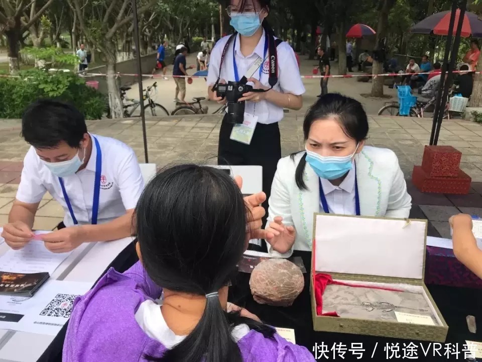 研究化石,趣味定向,植物压花!番禺公园科普活动继续神奇旅程!