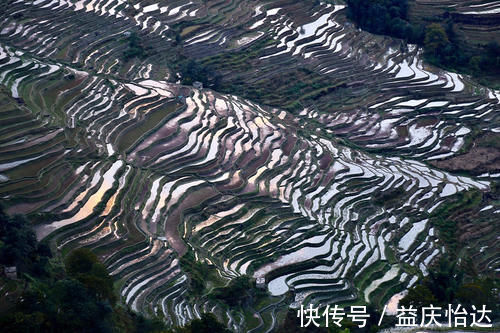 景观台|元阳坝达梯田景区，最佳日落观景点，可惜运气差了一点点