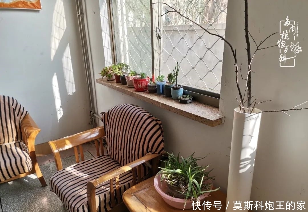 回顾令人难忘的2020年!2021,我定不负美肉不负众望!