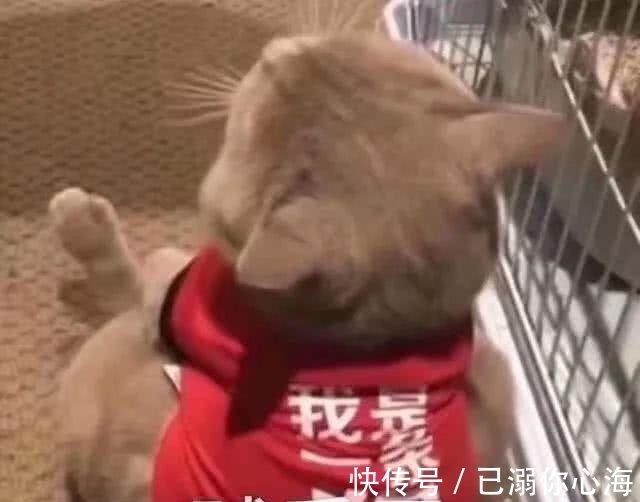 小伙不准女朋友穿裙子,女生出场后,涂磊要是换成我,我也不准