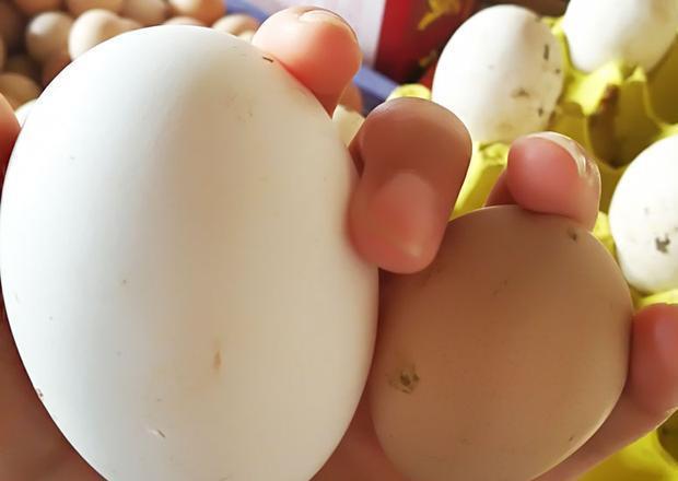 孕吐|女性怀孕时，这4种食物不能错过，对胎儿发育有益，还能缓解孕吐